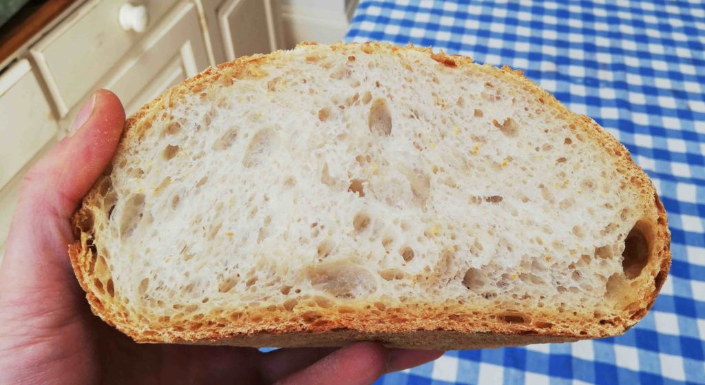 Pane pasta madre alveolatura farina caputo