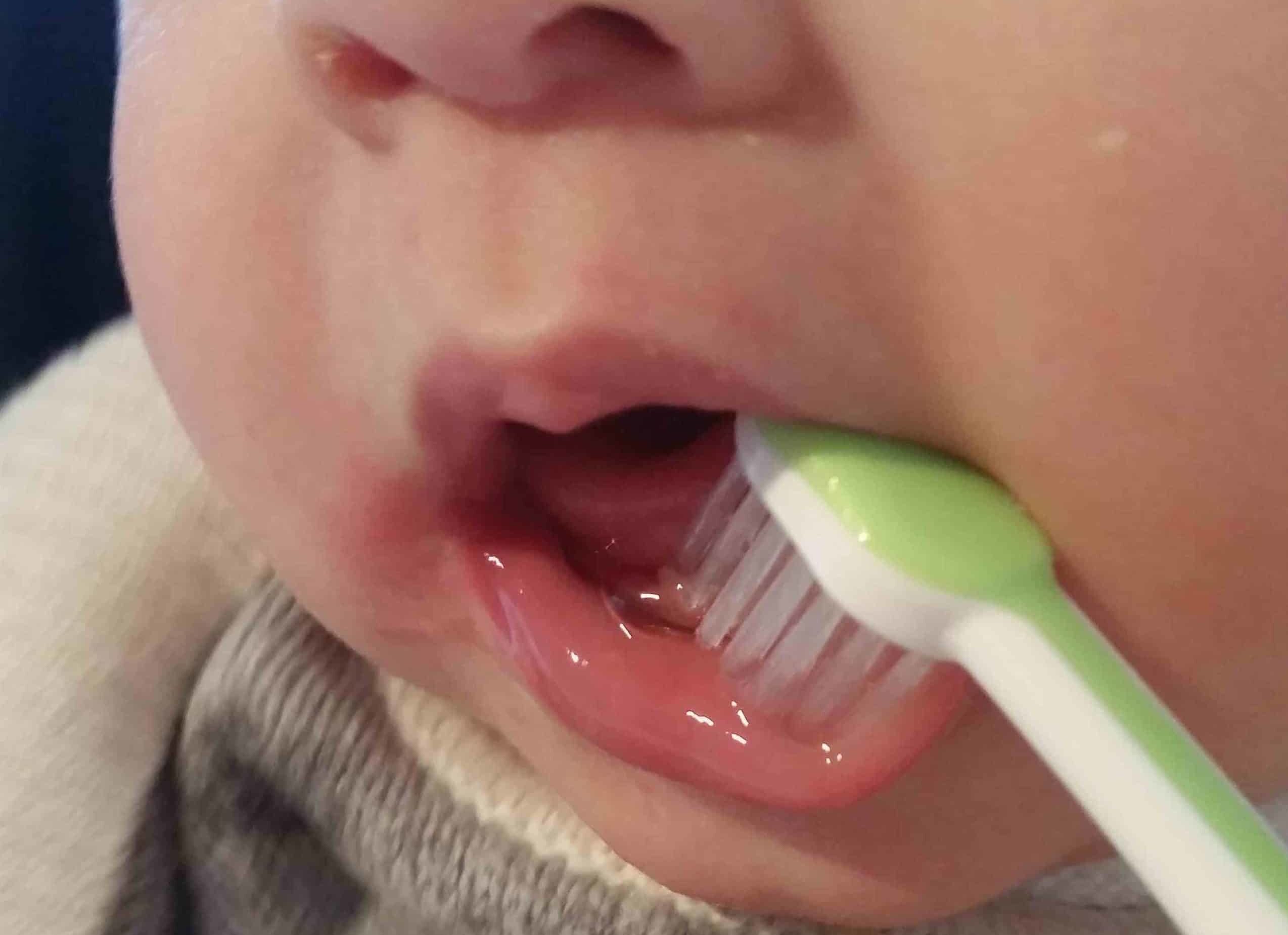 lavare i denti bambini neonati