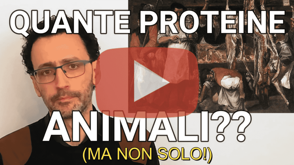 Ok, non esageriamo con le proteine, ma cosa vuol dire "esagerare"? – proteine