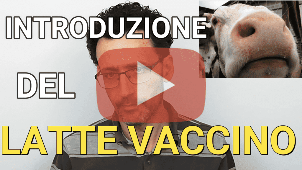 quando introdurre il latte vaccino svezzamento