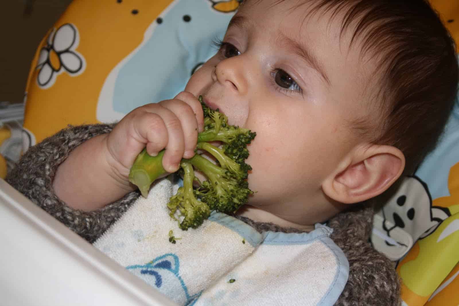 bambino 7 mesi svezzamento broccolo