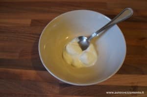 Yogurt fatto in casa