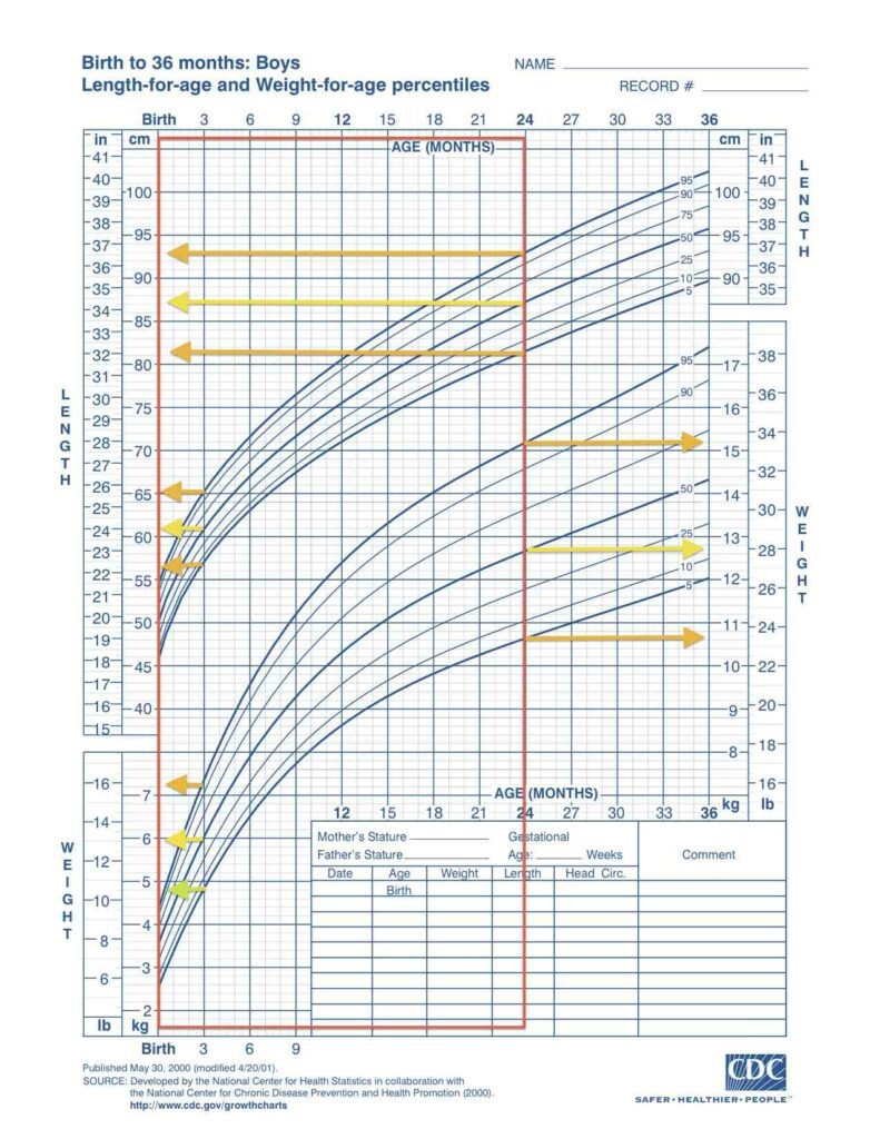 Curva di crescita NCHS per bambini da 0 a 36 mesi