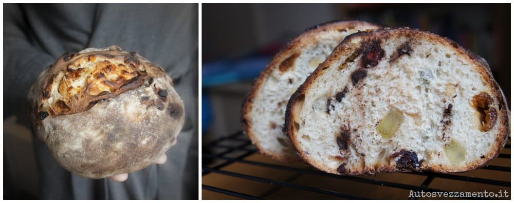 pasta madre, pane dolce, pane colazione, pane cioccolato, lievito madre