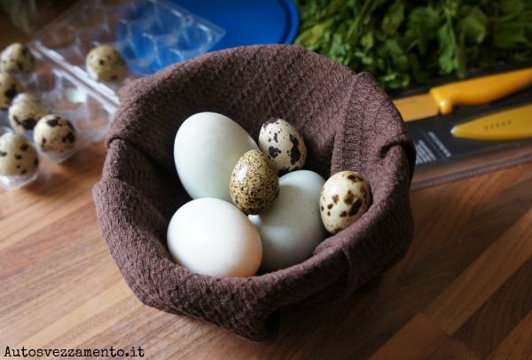 svezzamento uova, uova, duck egg, uova anatra, uova quaglia, quail egg