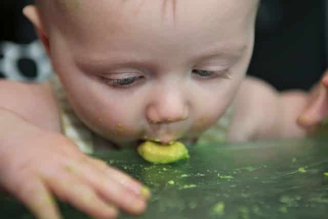 svezzamento brodo vegetale