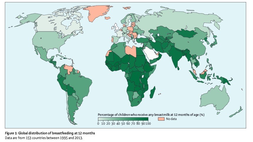 statistiche allattamento 12 mesi Lancet