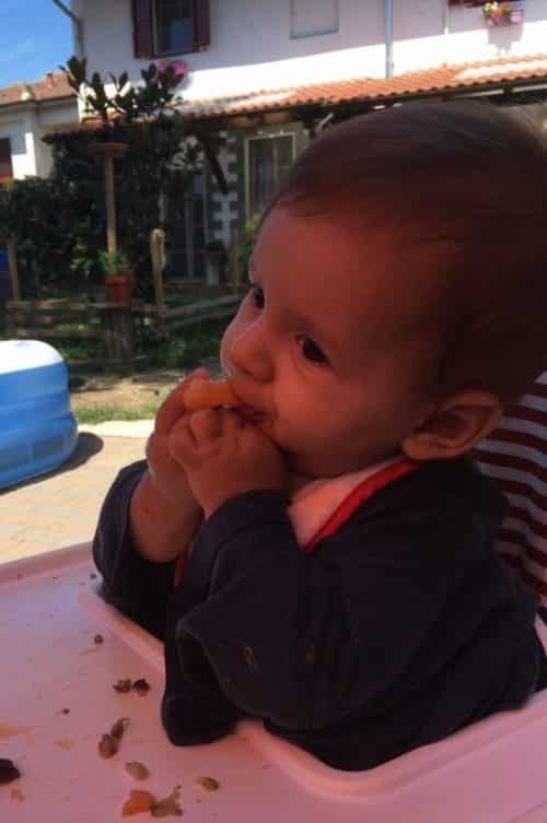 Pranzo di ferragosto – Autosvezzamento pranzo di ferragosto Autosvezzamento bambino