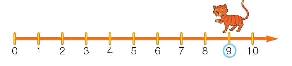 linea dei numeri metodo analogico