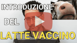 Introduzione latte vaccino svezzamento