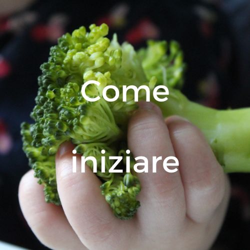 Come iniziare autosvezzamento